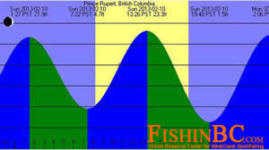 Daily Tide Chart