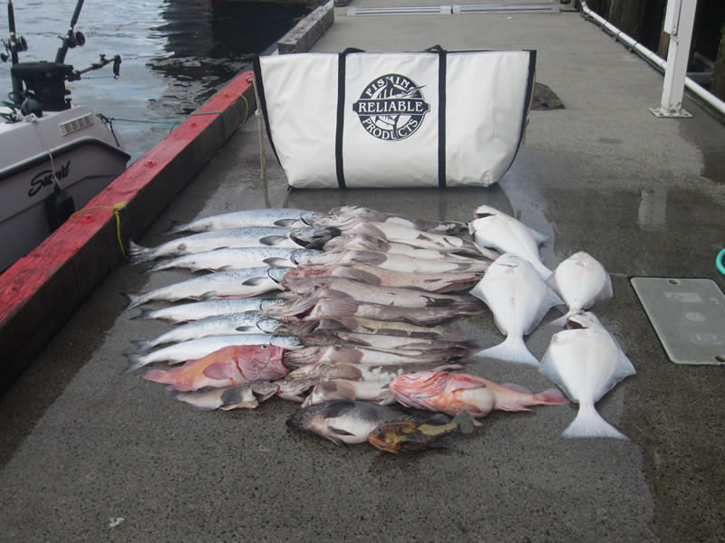 Fish Kill Bag Review Highly Recommended For Westcoast Fishing