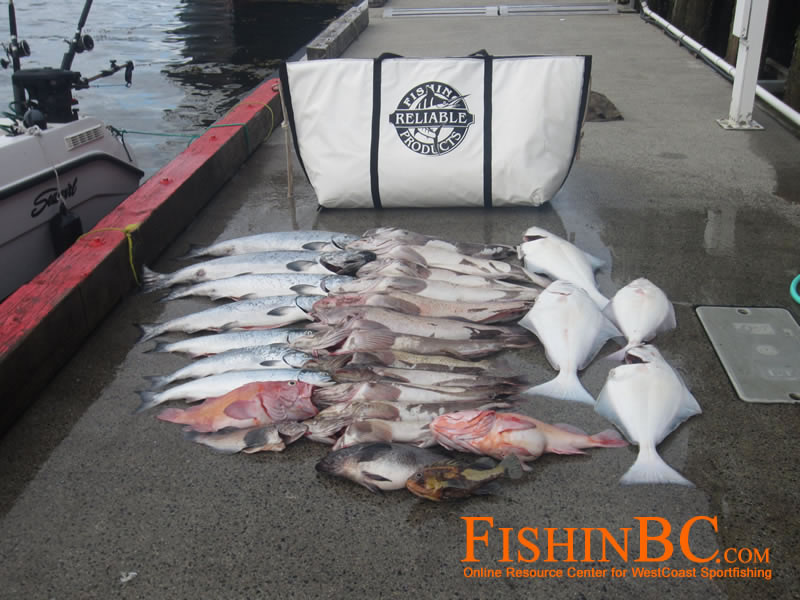 catch cooler bag