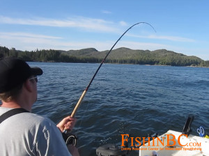 Salmon Fishing With Barbless Hooks - Fishing Rod tip held high
