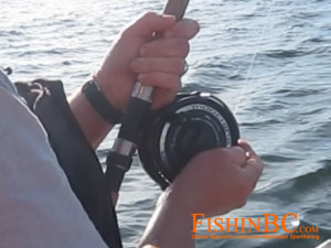 Salmon Fishing With Barbless Hooks - Set the Drag Correctly