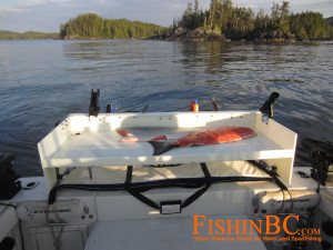 Prince Rupert Fishing 2013 - Fish Cleaning Table