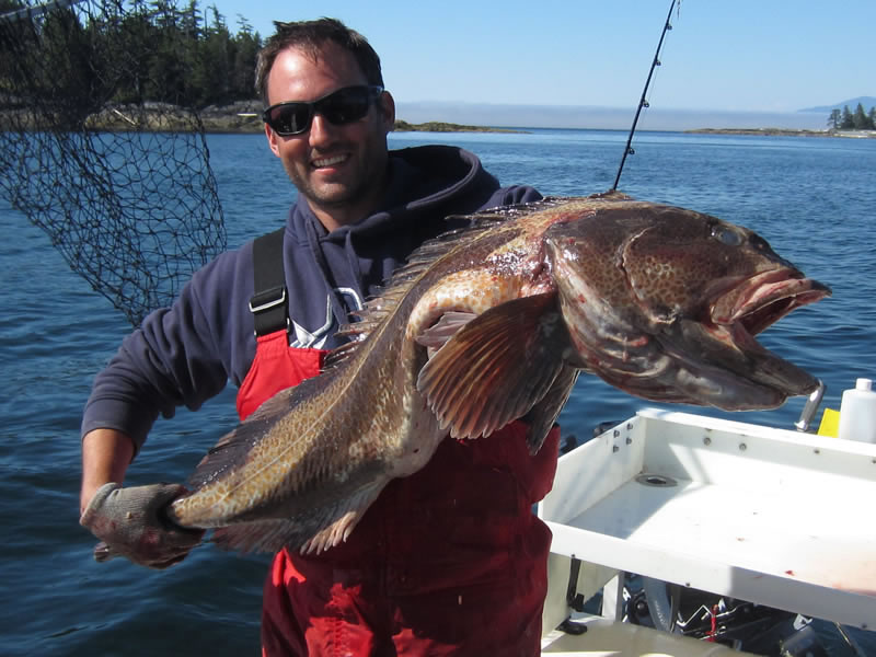 How to Catch Yelloweye Rockfish- Tips for Fishing for Lingcod