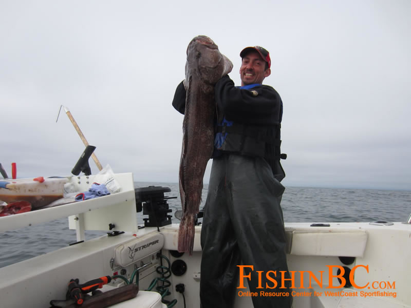 Using Swim Baits to Catch Big California Lingcod