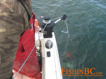 Fishing store - gear for shrimp, prawns, crab