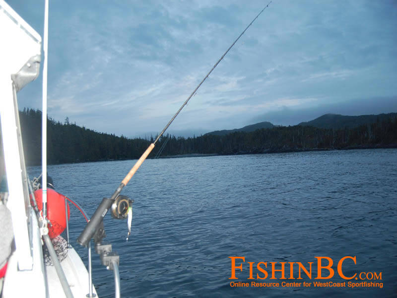 Fishing with Downriggers - The Fishing Website