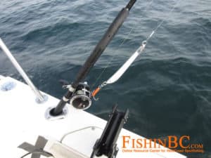 Halibut gear - rod and reel