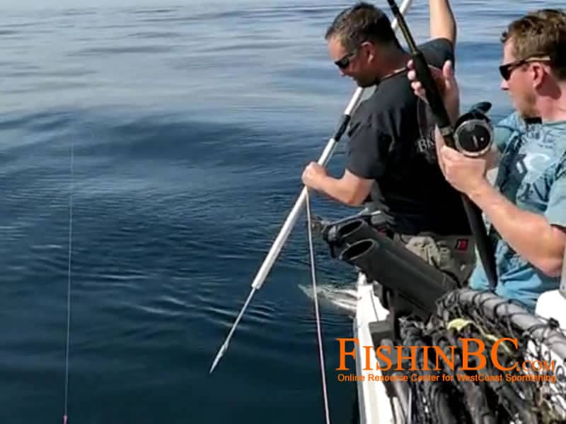 Best Halibut Fishing Gear - Explained 